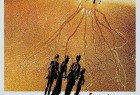 [天外夺命花 / 变形邪魔/人体异形 Invasion of the Body Snatchers][1978][美国][科幻][英语]