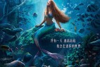 [小鱼仙(港) / 小美人鱼真人版 / 迪士尼版小美人鱼/小美人鱼 The Little Mermaid][2023][美国][爱情][英语]