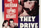 [卡车斗士 / 黑夜使人狂/黑夜飞车 They Drive by Night][1940][美国][剧情][英语]